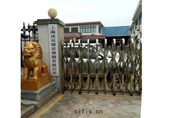上海(hǎi)淩田(tián)精(jīng)密(mì)模塑有限公(gōng)司(sī)