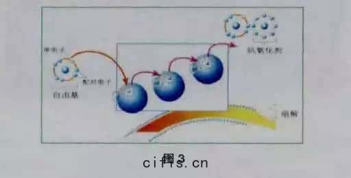 空(kōng)壓(yā)機油顏(yán)色變(biàn)化