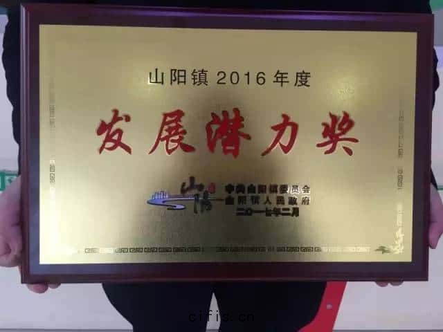 2016年度(dù)發(fā)展(zhǎn)潛力(lì)獎